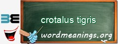 WordMeaning blackboard for crotalus tigris